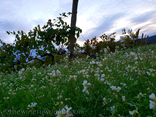 Autumn_Evening_Sky6_10.30.18_TWW