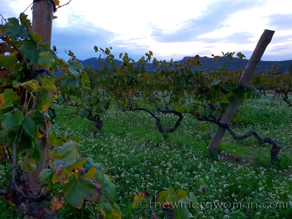 Autumn_Evening_Sky9_10.30.18_TWW