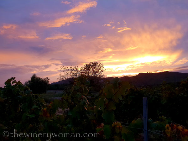 Autumn_Vineyard_Sunset14_10.9.18_TWW