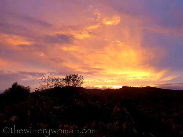 Autumn_Vineyard_Sunset15_10.9.18_TWW