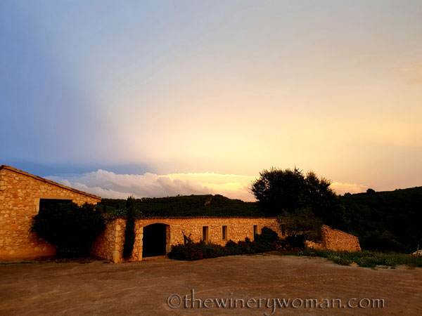 Autumn_Vineyard_Sunset3_10.9.18_TWW
