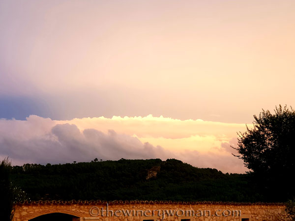 Autumn_Vineyard_Sunset4_10.9.18_TWW