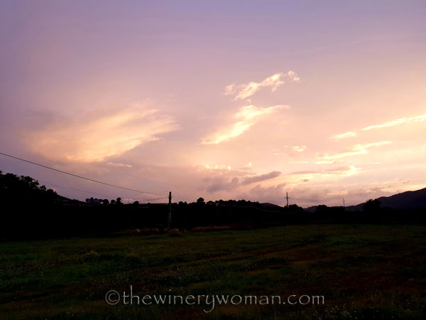 Autumn_Vineyard_Sunset5_10.9.18_TWW
