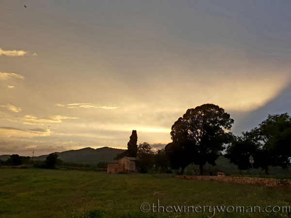 Autumn_Vineyard_Sunset6_10.9.18_TWW