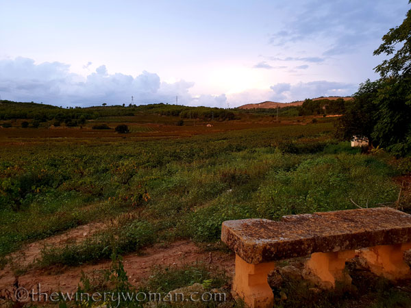 Autumn_Vineyard_Sunset7_10.9.18_TWW