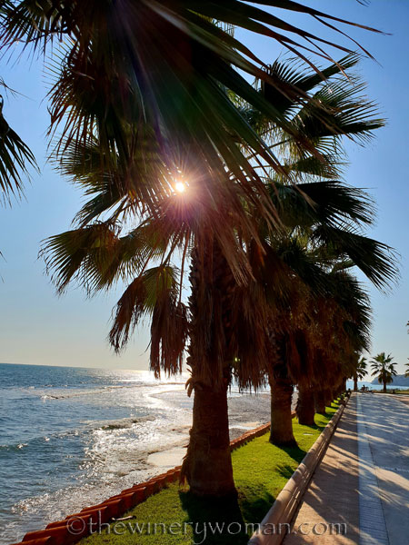 Beach_Sitges11_10.23.18_TWW