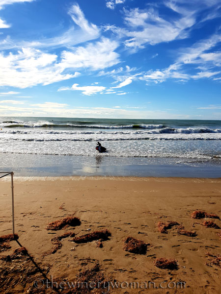 Beach_Sitges13_10.15.18_TWW