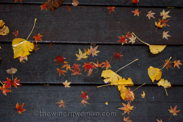 Japanese-Garden009_TWW