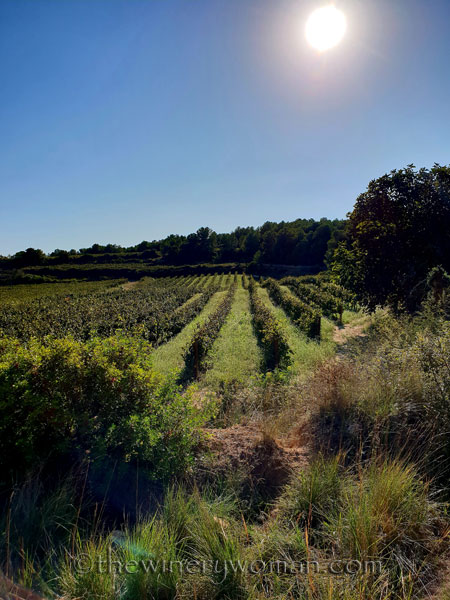 The-view_10.3.18_TWW