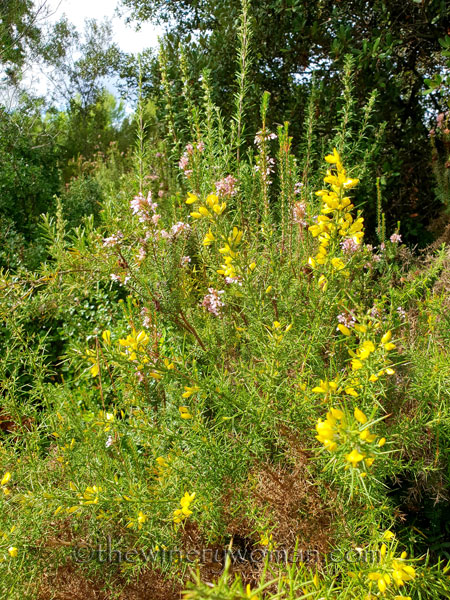 Trail_views4_10.14.18_TWW