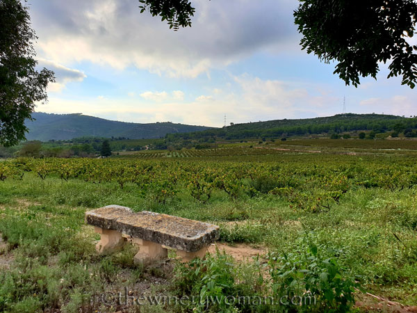 Vineyard_10.12.18_TWW