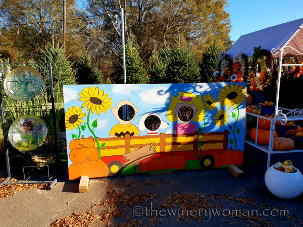 Lake_Norman6_11.20.18_TWW