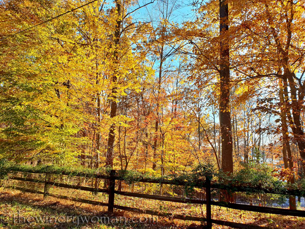 Lake_Norman8_11.20.18_TWW