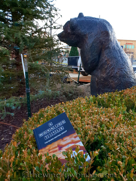 Southlands_Book_Tour2_11.10.18_TWW