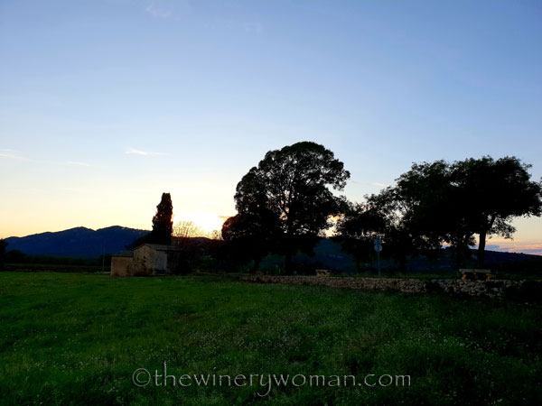 Sunset_Vineyard2_11.2.18_TWW