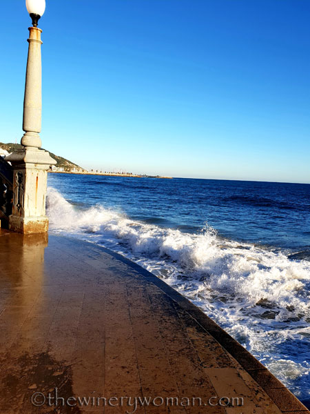 beach_sitges11_1.25.19_tww