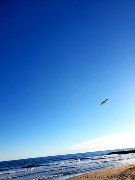 beach_sitges2_1.25.19_tww