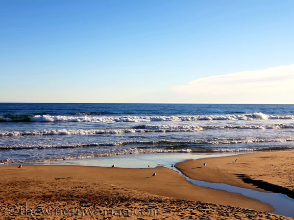 beach_sitges4_1.25.19_tww