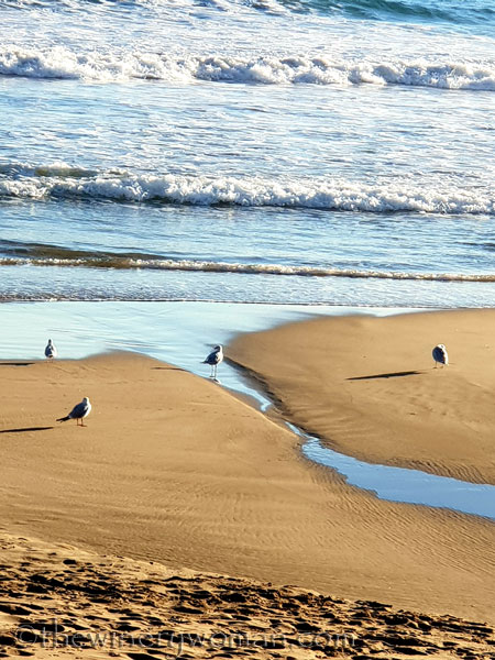 beach_sitges5_1.25.19_tww