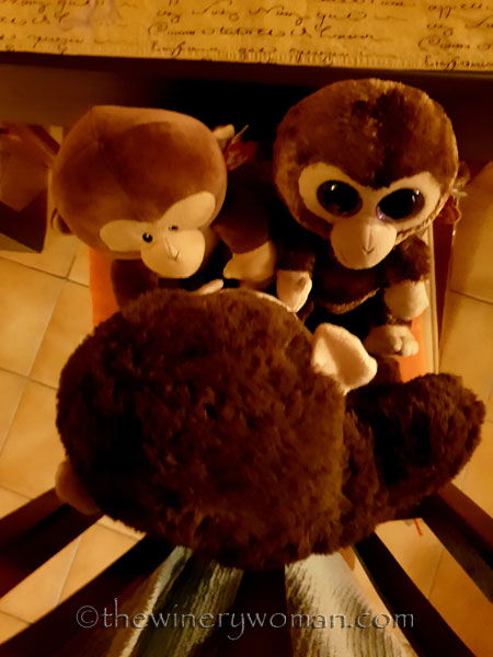 grape_ape_vineyard22_1.9.19_tww