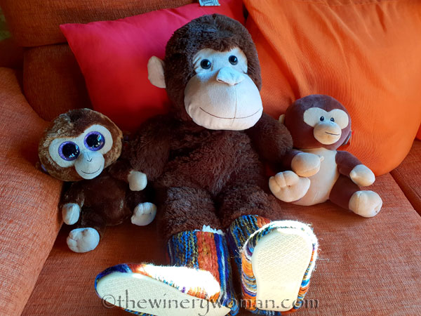 grape_ape_vineyard25_1.9.19_tww