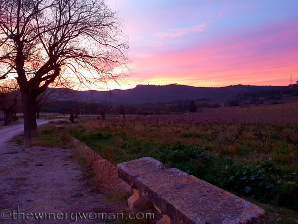 sunset_in_the_vineyard10_1.8.19_tww