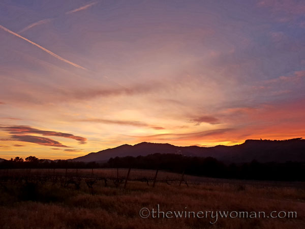 sunset_in_the_vineyard13_1.8.19_tww