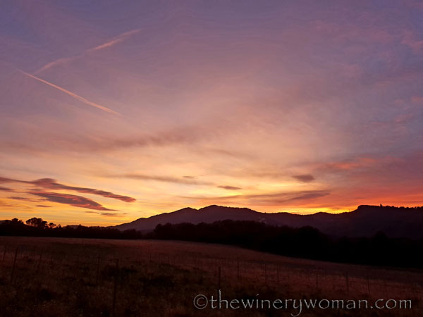 sunset_in_the_vineyard15_1.8.19_tww