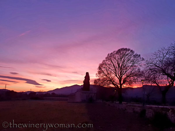 sunset_in_the_vineyard17_1.8.19_tww