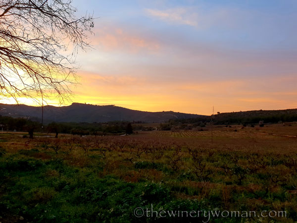 sunset_in_the_vineyard2_1.8.19_tww