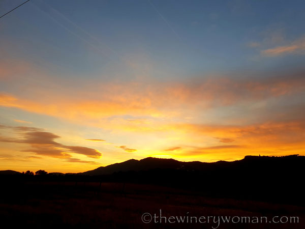 sunset_in_the_vineyard4_1.8.19_tww