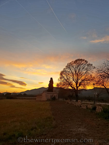sunset_in_the_vineyard5_1.8.19_tww