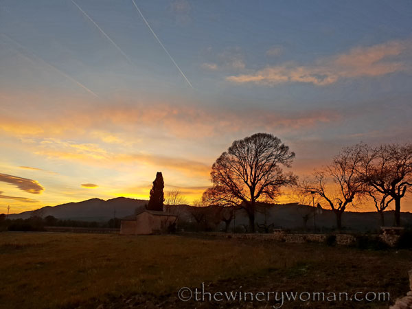 sunset_in_the_vineyard6_1.8.19_tww