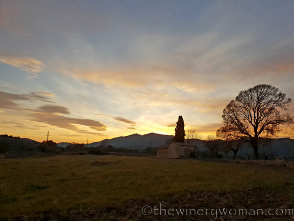sunset_in_the_vineyard_1.8.19_tww