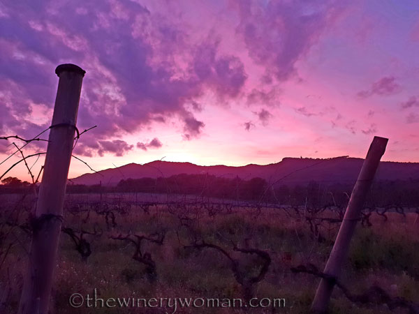 sunset_vineyard5_1.4.19_tww