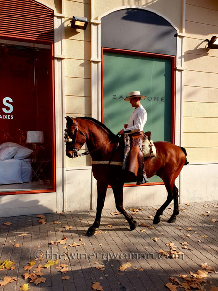 tres_tombs_vilanova11_1.17.19_tww