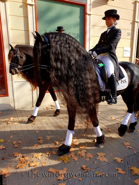 tres_tombs_vilanova14_1.17.19_tww