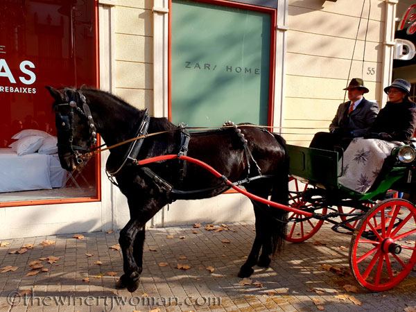 tres_tombs_vilanova21_1.17.19_tww