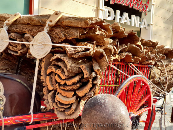 tres_tombs_vilanova32_1.17.19_tww