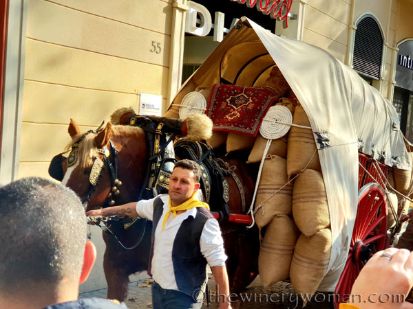 tres_tombs_vilanova34_1.17.19_tww