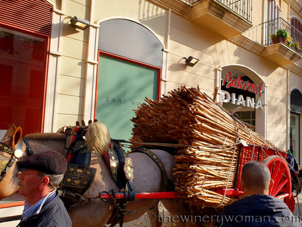 tres_tombs_vilanova36_1.17.19_tww
