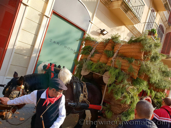 tres_tombs_vilanova39_1.17.19_tww