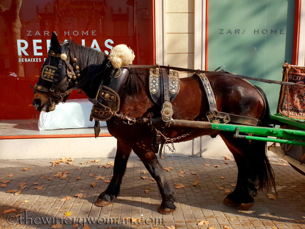 tres_tombs_vilanova45_1.17.19_tww
