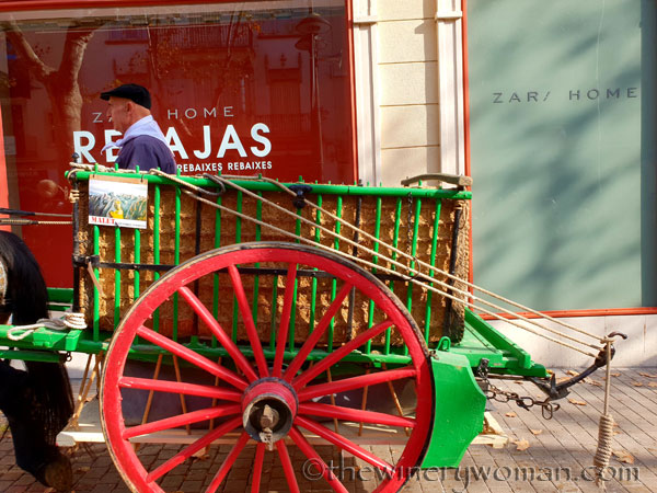 tres_tombs_vilanova46_1.17.19_tww