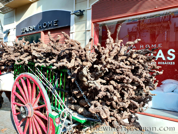 tres_tombs_vilanova48_1.17.19_tww