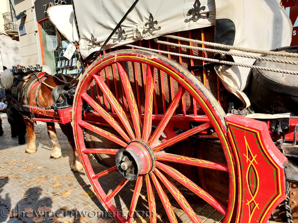 tres_tombs_vilanova49_1.17.19_tww