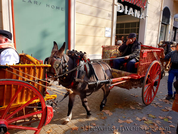 tres_tombs_vilanova55_1.17.19_tww