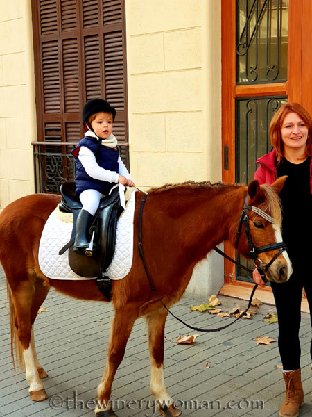 tres_tombs_vilanova60_1.17.19_tww