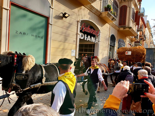 tres_tombs_vilanova66_1.17.19_tww