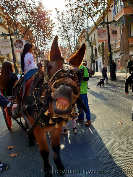 tres_tombs_vilanova6_1.17.19_tww